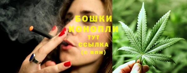 прущая мука Михайлов