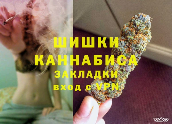 стаф Мегион