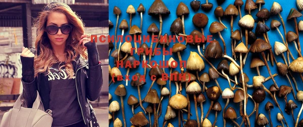 прущая мука Михайлов