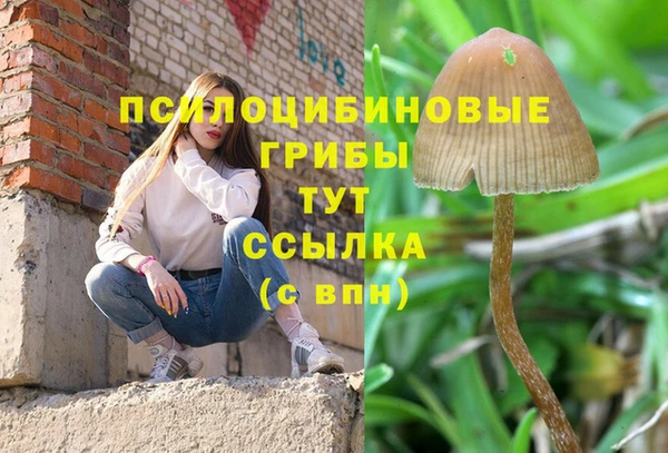 стаф Мегион