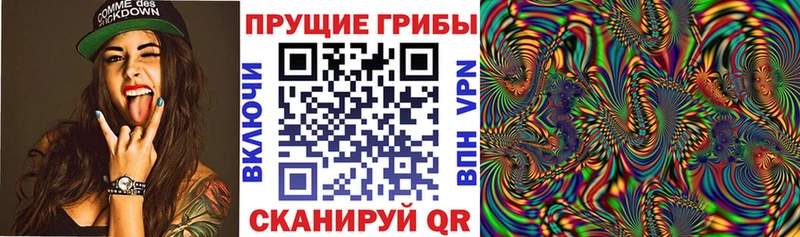 Галлюциногенные грибы GOLDEN TEACHER  МЕГА как войти  Трёхгорный 